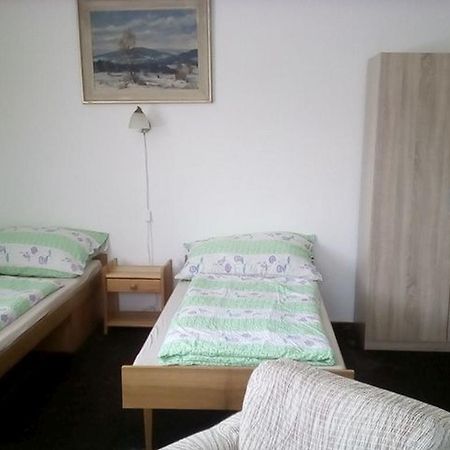 Apartment Vysocina Svratka Luaran gambar